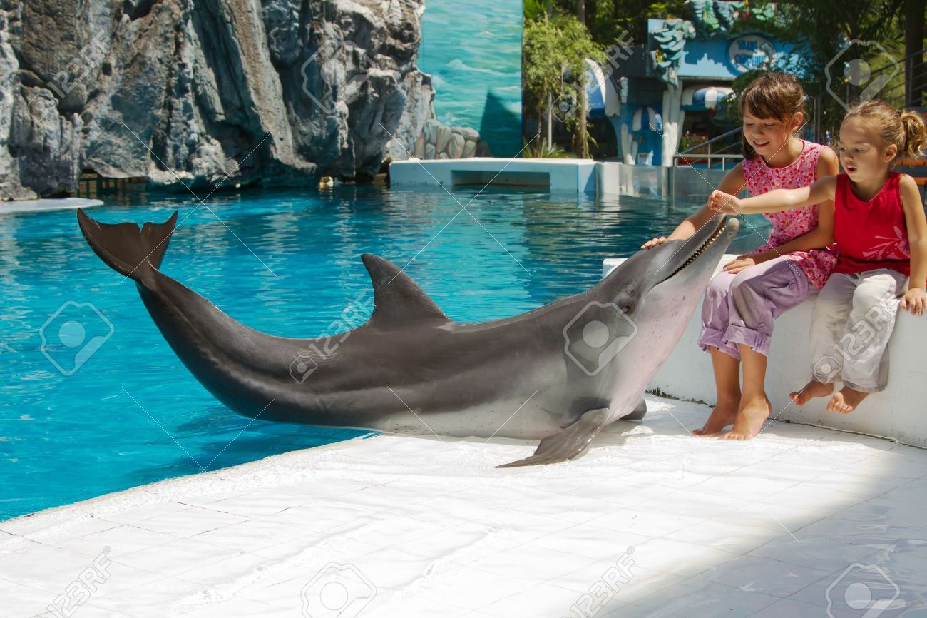 kham-pha-cong-vien-safari-world-thai-lan